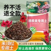 朱顶红专用土朱顶红土通用型营养土室内绿植盆栽种植土疏松透气土