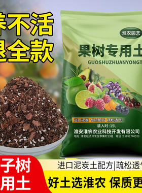 金桔树配方土进口植材无病虫害