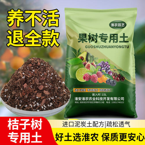 金桔树配方土进口植材无病虫害