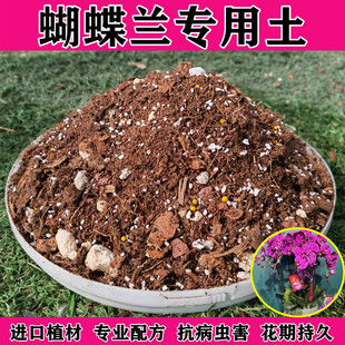 蝴蝶兰专用土营养土干水苔君子兰石斛兰花植料盆栽种植颗粒土肥料