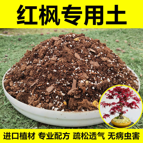 红枫专用营养土进口植材无病虫害