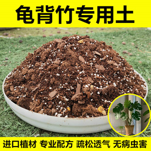 龟背竹专用土营养土白锦龟背竹盆栽种植土进口泥炭土肥料无病虫害