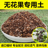 无花果专用土扦插用土营养土盆栽地栽种植土壤泥土进口泥炭土肥料