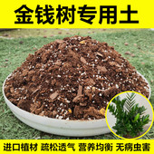 金钱树专用土营养土盆栽种植土壤进口泥炭土肥料疏松透气无病虫害
