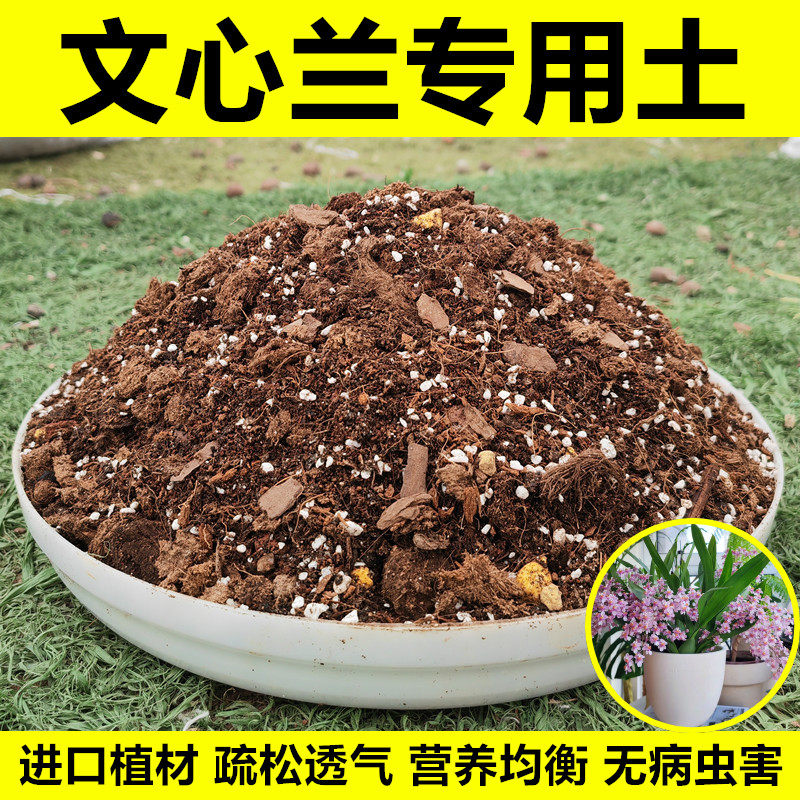 文心兰专用土营养土兰花盆栽种植土肥料进口植材疏松透气无病虫害
