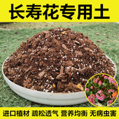 长寿花专用土长寿花土盆栽营养土种花泥土通用型种植土壤肥料 包邮