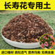 长寿花专用土长寿花土盆栽营养土种花泥土通用型种植土壤肥料 包邮