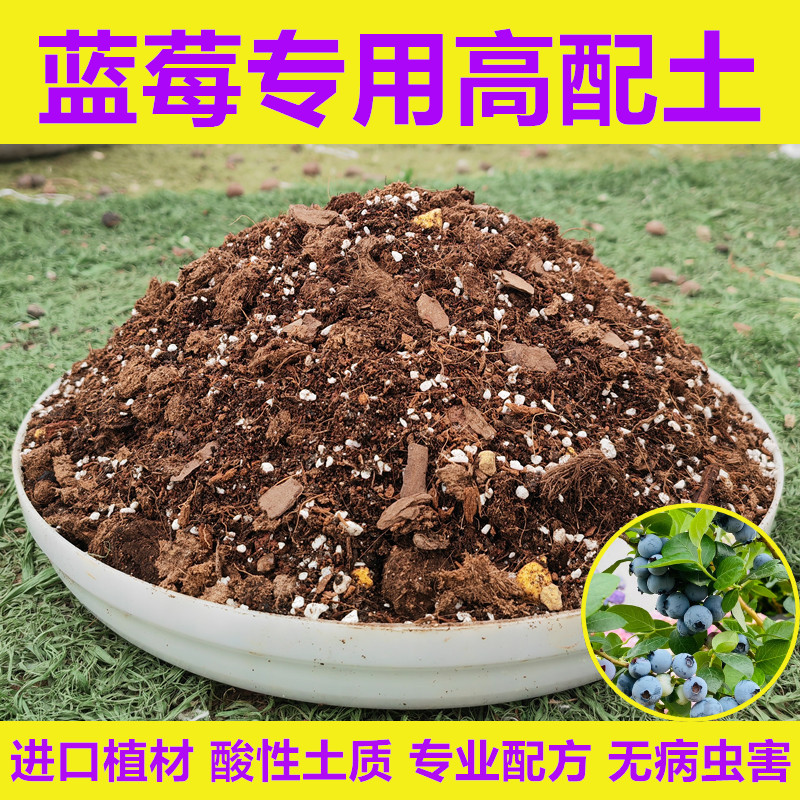 蓝莓专用酸性土进口植材无病虫害