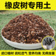 橡皮树专用土营养土橡皮树盆栽土壤绿植花卉种植泥土橡皮树土肥料