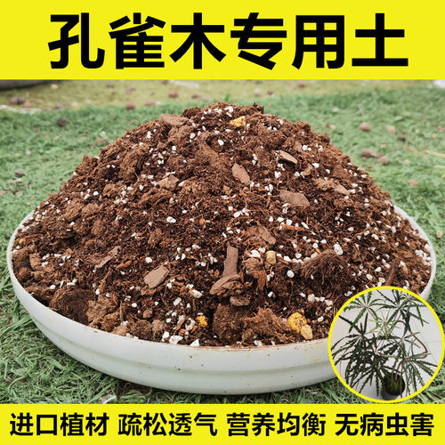 孔雀木专用土进口植材营养均衡