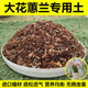 大花蕙兰专用土营养土盆栽种植土兰花土进口植材疏松透气无病虫害