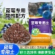 蓝莓专用土营养土酸性土壤盆栽地栽种植土进口泥炭土肥料无病虫害