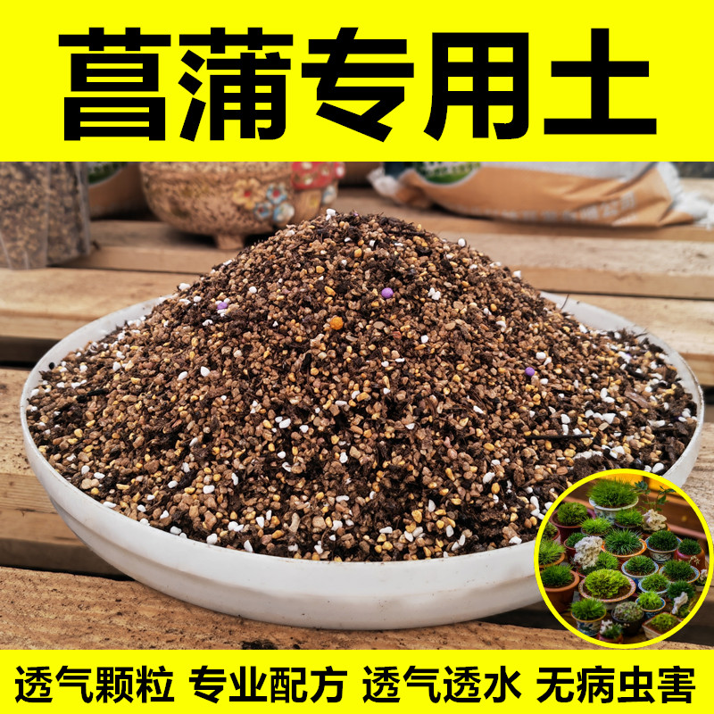 菖蒲专用土金钱菖蒲虎须黄金姬菖蒲营养土盆景种植土颗粒土赤玉土