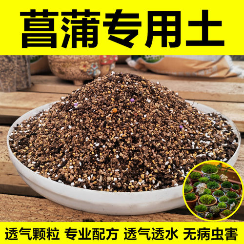 菖蒲专用配方土进口植材无病虫害