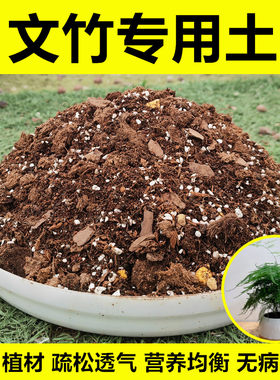 文竹专用土进口植材营养均衡
