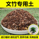 文竹专用土云竹盆栽营养土通用型种植土种花泥土进口泥炭土壤肥料