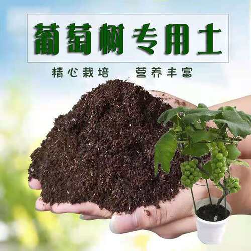 的泥土质量怎么样 的泥土口碑怎么样 小麦优选