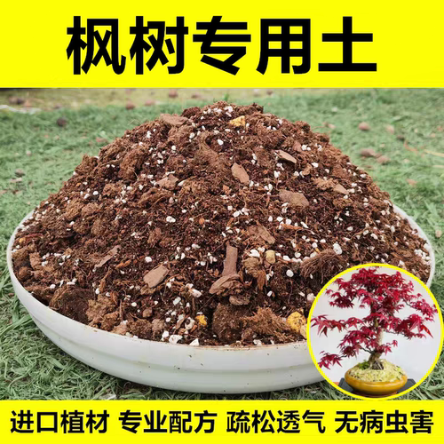 红枫专用营养土进口植材无病虫害