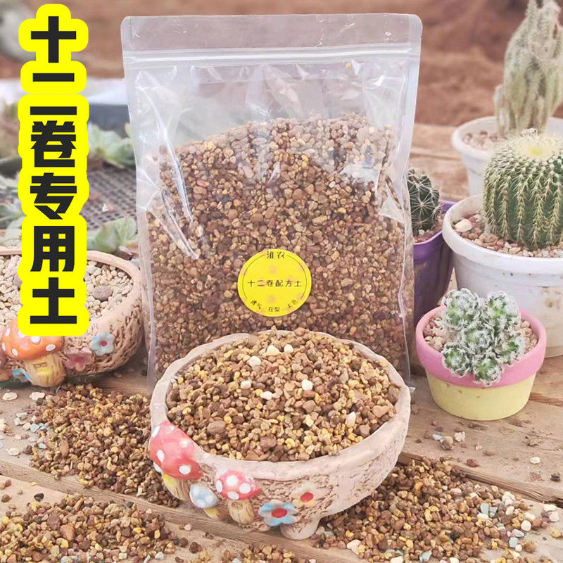 十二卷专用配方土 玉露土 玉扇土 寿  万象土 多肉纯颗粒土营养土