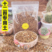玉露土 玉扇土 寿 十二卷专用配方土 万象土 多肉纯颗粒土营养土