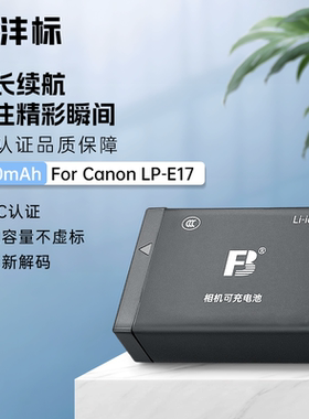 沣标LP-E17电池适用佳能50D 77D 850D X8i r8 R50 RP M6 200D r10