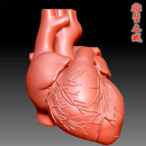 心脏3D模型圆雕图三维图STL雕刻素材3D打印立体图     9449心脏