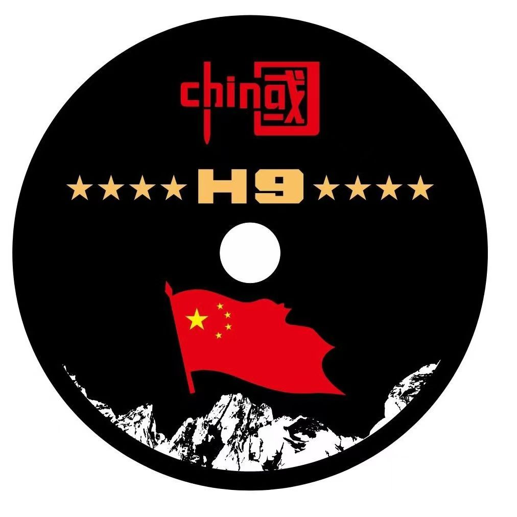 24-25款哈佛H9长城二代h9备胎罩轮胎罩备胎装饰罩备胎皮套
