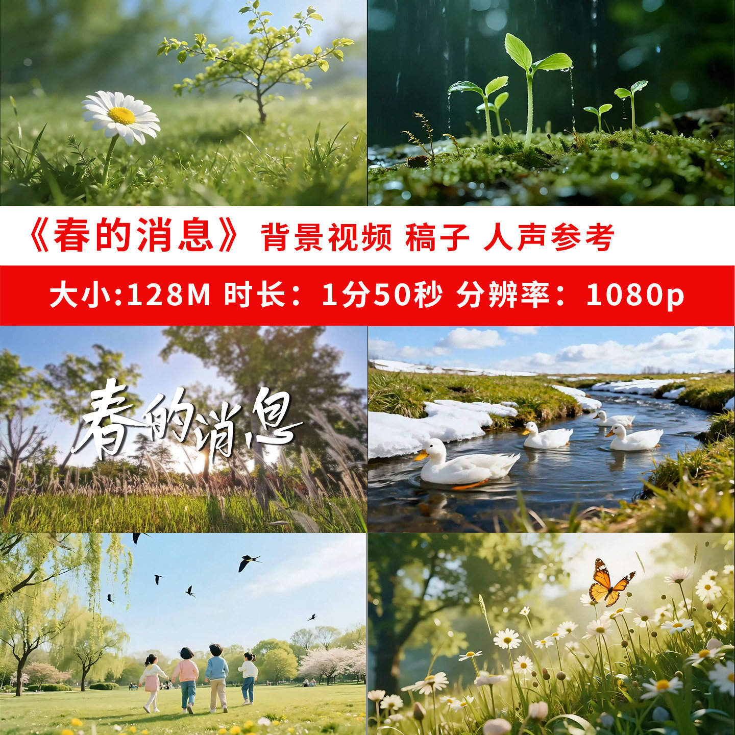 春的消息背景视频led朗读朗诵演讲ppt课文蝴蝶学生鸭子白羽毛菊花,商务/设计服务,FLASH/动画制作,淘宝优惠券,粉丝福利购,淘宝优惠卷