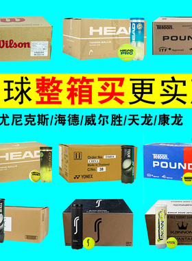 天龙P4塑桶整箱比赛网球包邮训练专业网球