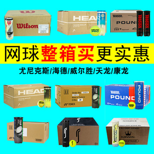 天龙P4塑桶整箱比赛网球 训练专业网球 包邮