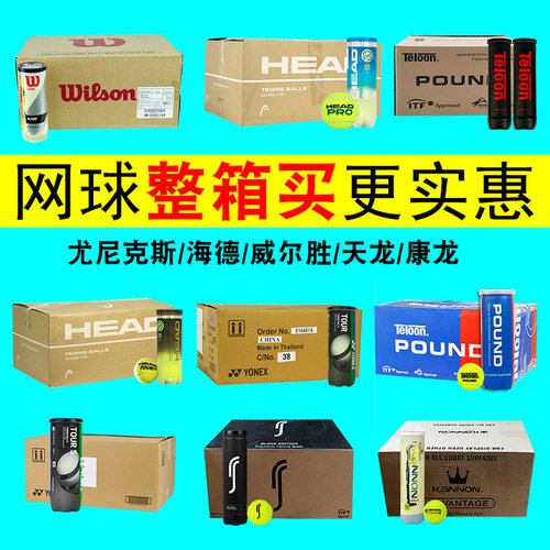 天龙网球整箱p4/P3康龙海德网球