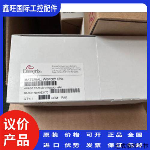 议价英特格 Wafergard GT-Plus 在线气体过滤器WGFG21KP0