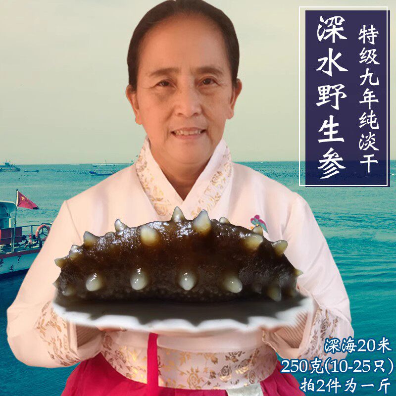 大连野生海参250g孕产妇纯淡干刺叁半斤长海县高品质深水辽渗干货