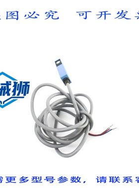 原装供应 SICK WS9-D132 1007594 10-30VDC NSNP