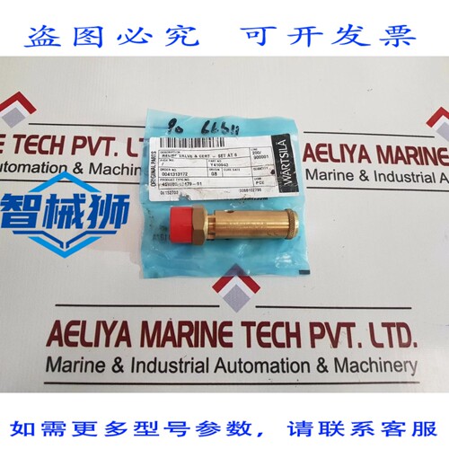原装供应 SEETRU TUV SV 17 893 8 泄压阀 Y410943
