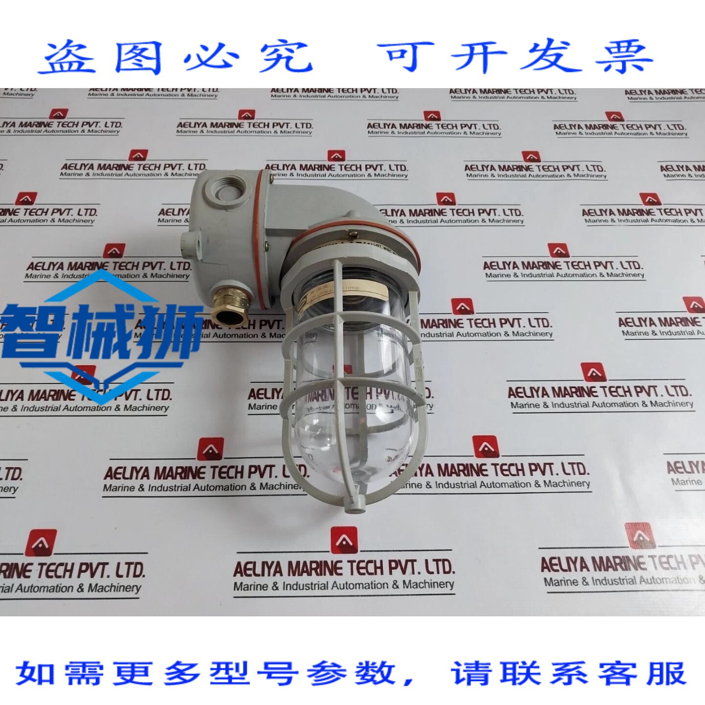 原装供应 HUBBELL OCC-100 白炽灯吸顶灯，带钢化玻璃灯罩和罩