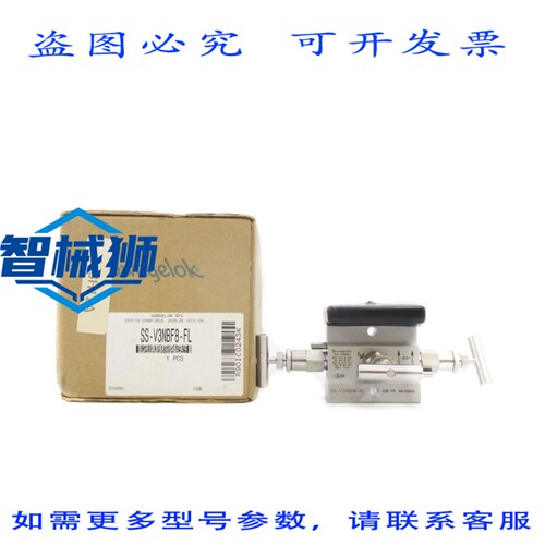现货供应 SWALOK SS-V3NBF8-FL 6000PSI NSMP
