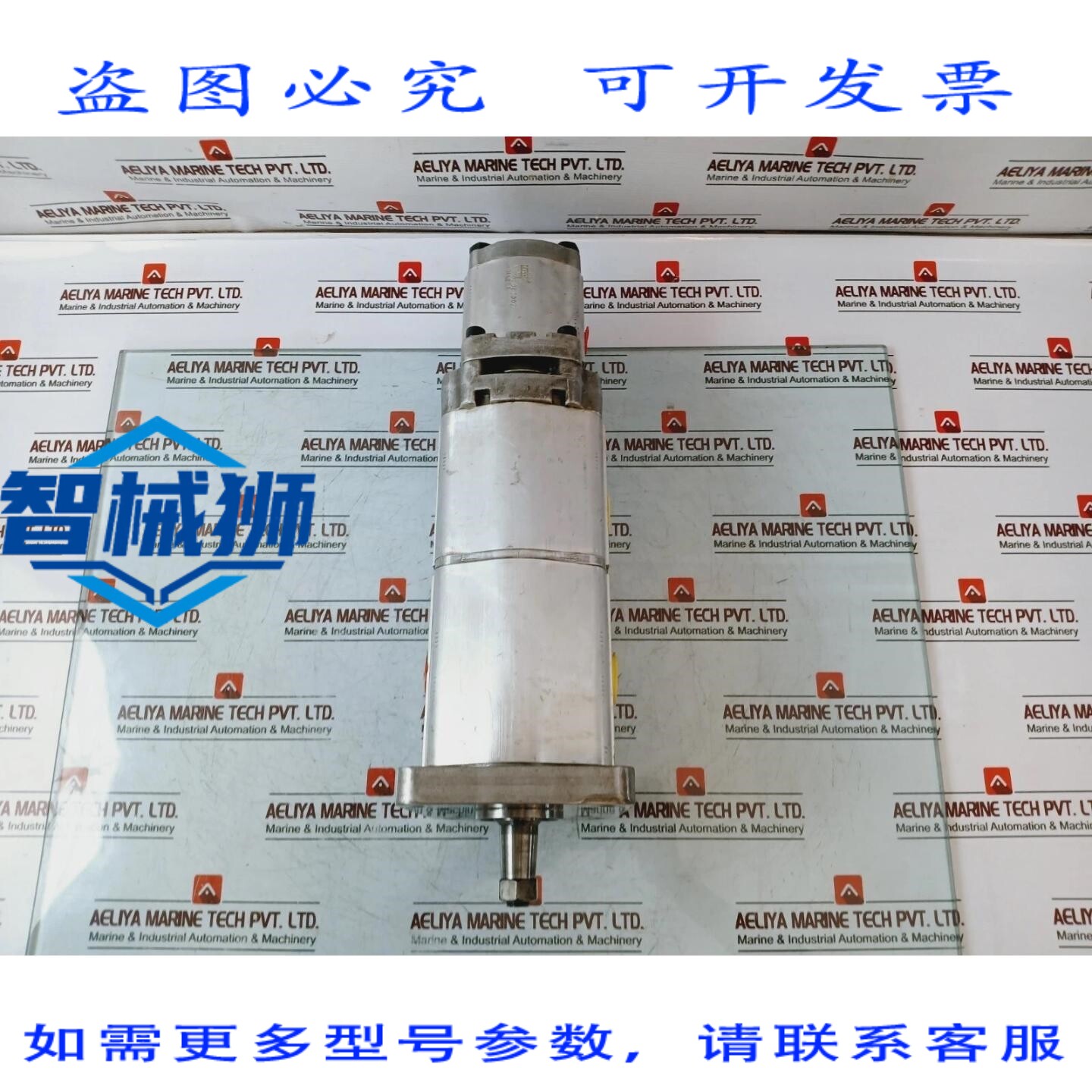 原装供应 POMPE à ENGRENAS 液压 EN FONTE HYBE 17103061002 1R