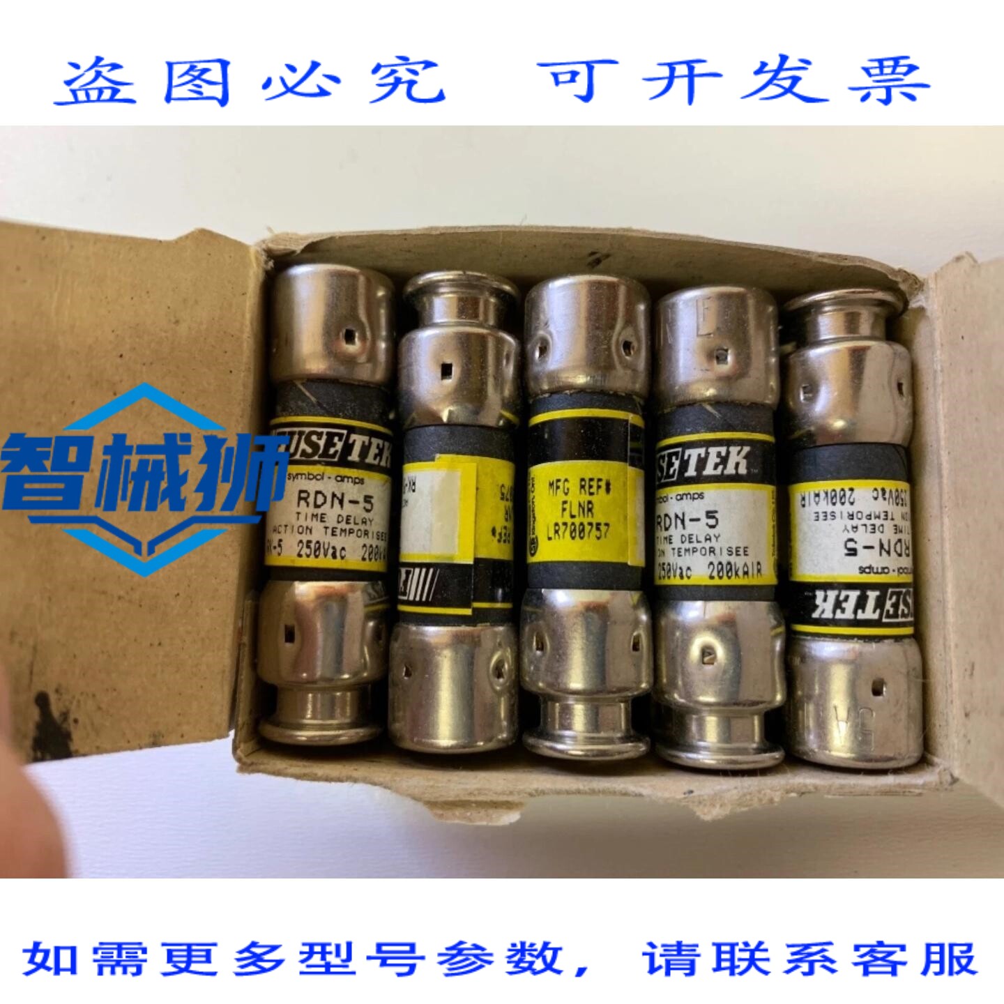 原装供应 一盒十个 FUSETEK RDN-5 双元件延时保险丝 2A 250V
