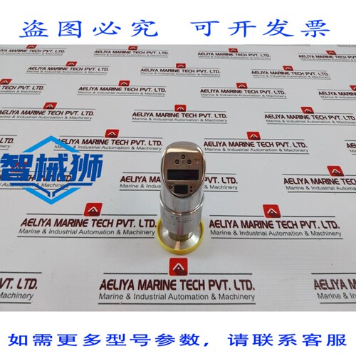原装供应 ENDRESS+HAUSER PTP35-A1C13P1DB4B 压力开关 IP65