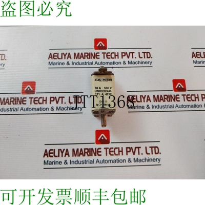 原装供应LK-NES 35A 500V 通用保险丝 171 A 4212 DIN 00