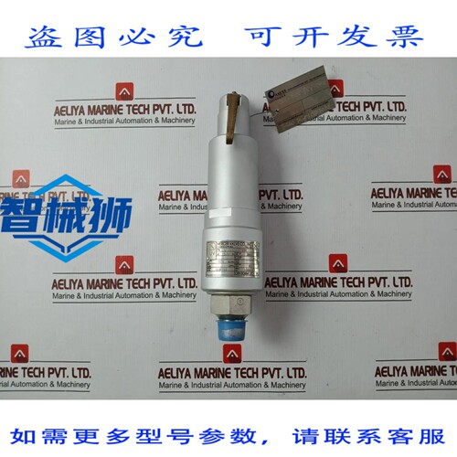 原装供应 MERCER 阀门 91-M2D63P1641 3/4 安全泄压阀 3500 PSI 7