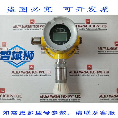 原装供应 探测器 DE GAZ FIXE FGM-6200 RAEGUARD 3 系统 REY ND
