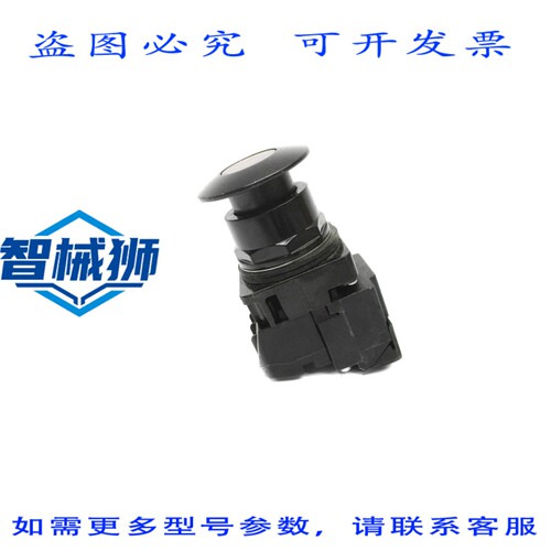 原装供应 52BP2D2AB NSNP