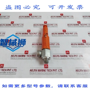 原装供应 VANNE DE SECURITE ARI 电枢 PN100 0107030077C JS1049