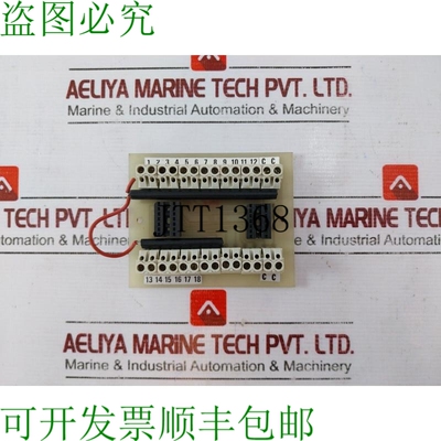 原装供应RV ELECTRONIQUE 9-6-88 接口模块 17631