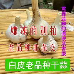 苍山大蒜头2026山东农家白皮蒜新鲜晾晒干蒜非杂交蒜500g厨房调料