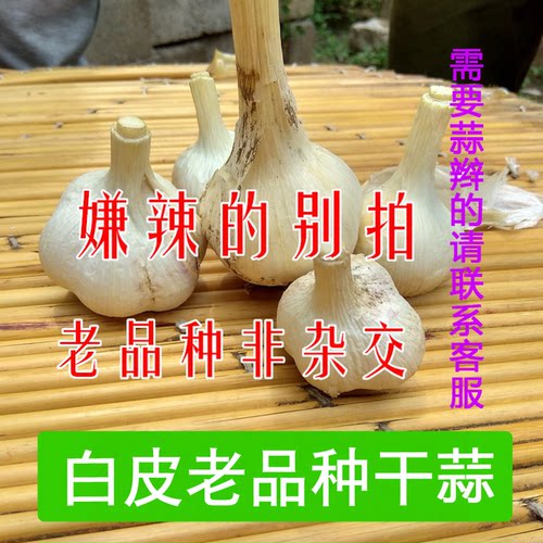 苍山老品种大蒜头500g厨房用调料