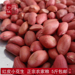 小红皮花生米山东沂蒙山特产新货四粒红生花生仁去壳生吃做粥营养
