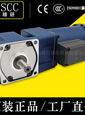 JSCC精研电机80YR25GV11X 80YR25DV11X 80YR25GV22X 80YR25DV22X